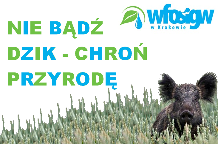 KONKURS : „Nie bądź dzik – chroń przyrodę”