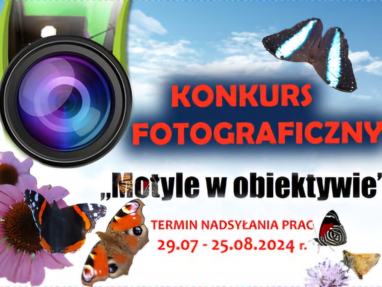 Konkurs fotograficzny pn. „Motyle w Obiektywie”